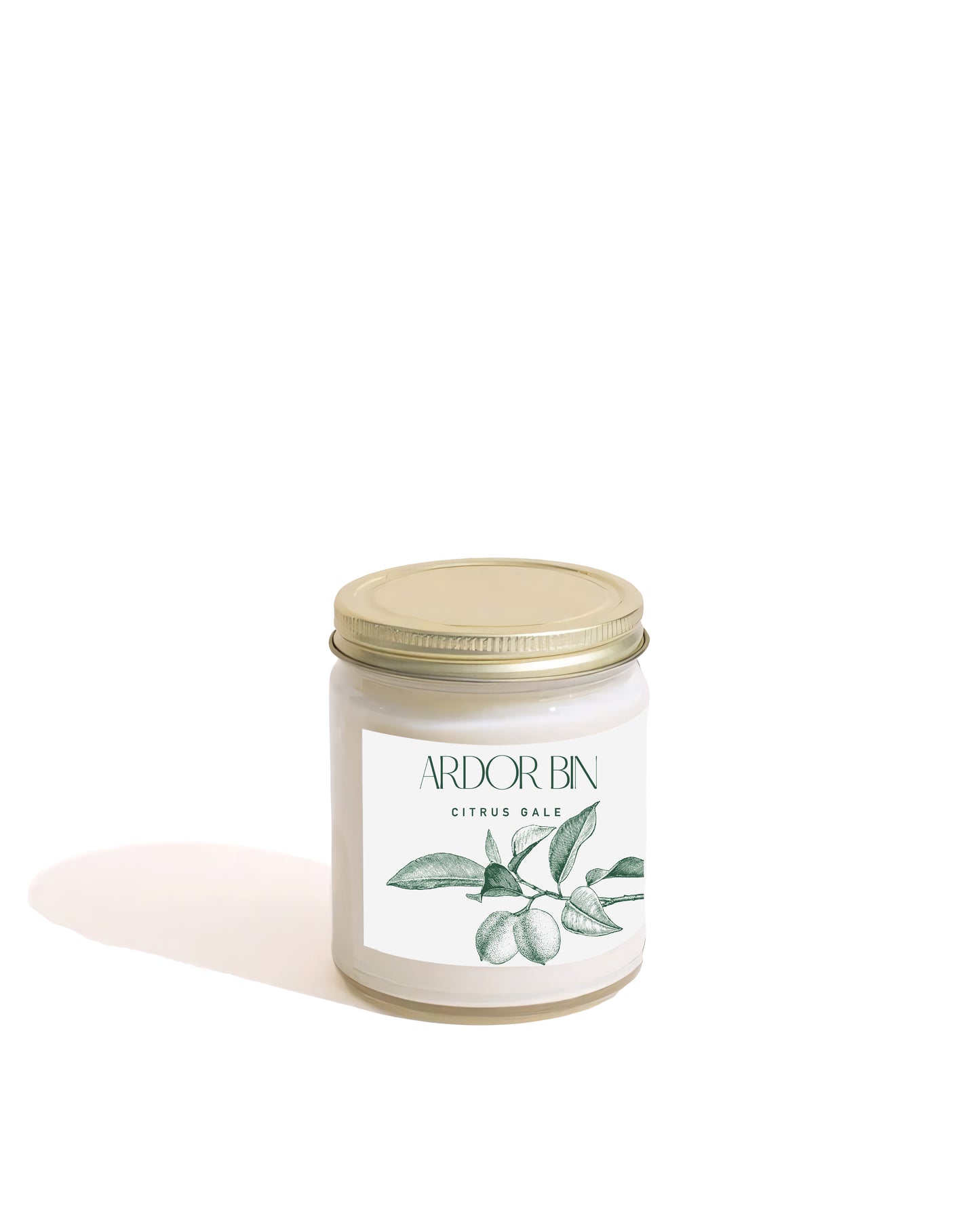 Citrus Gale Scented Candle 8 oz. - Ardor Bin
