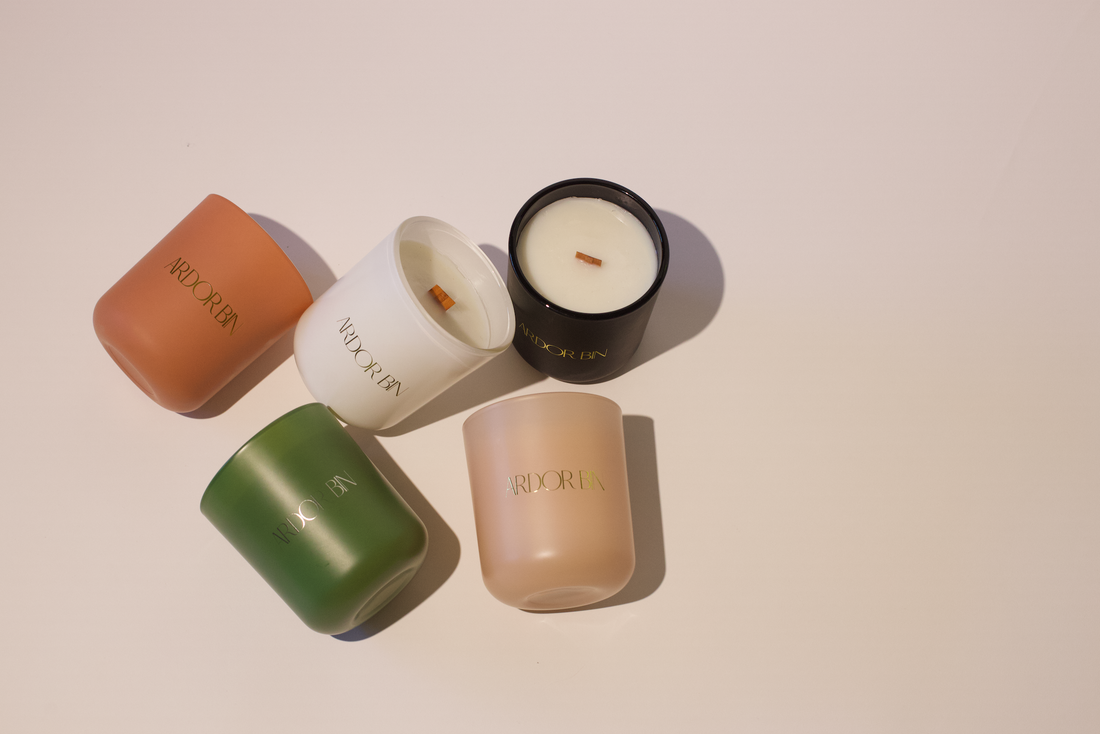 Ten Years of Ardor Bin: The Story Behind the Flame