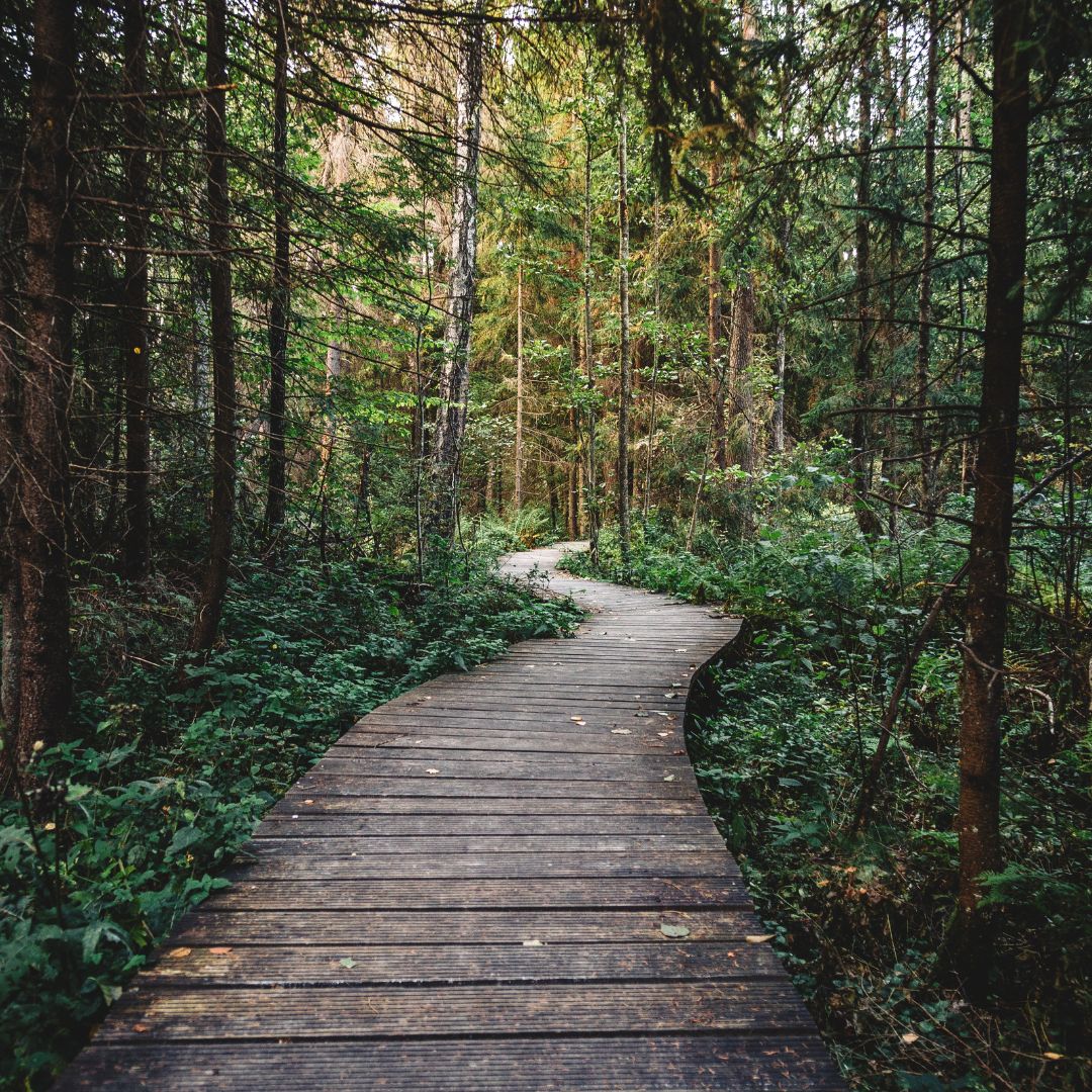 Rejuvenating Self Care Ideas