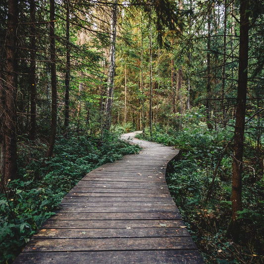 Rejuvenating Self Care Ideas