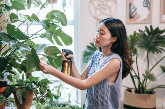Eco-Friendly Gifting Guide